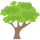 tree tree